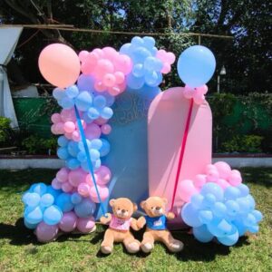 Mampara Rosa y Azul Oh Baby
